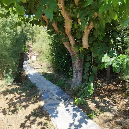 Apartment Agia Aikaterini Amoudi